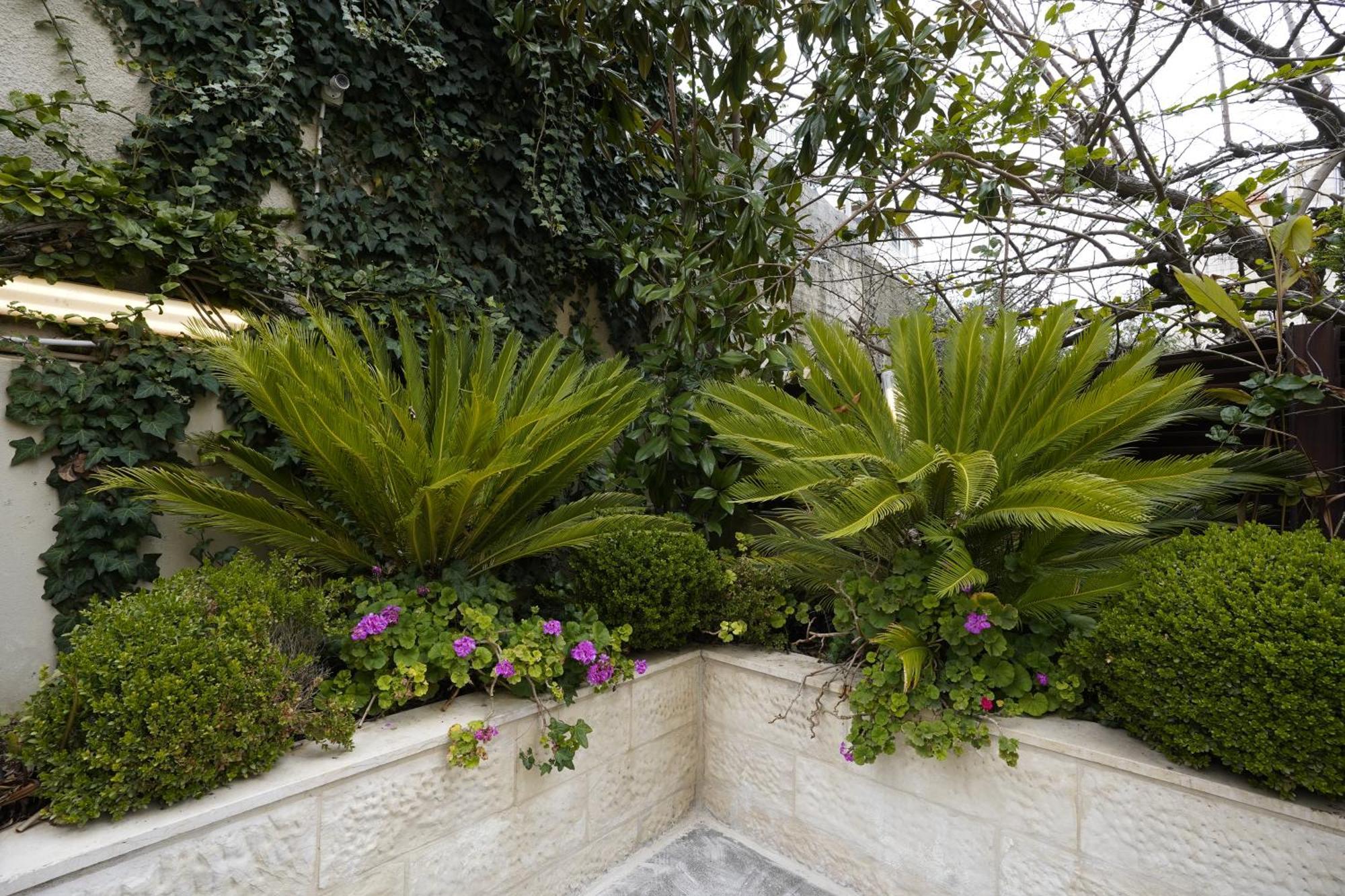 Naylover Hotel Suites Amman Buitenkant foto